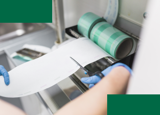 CONHEÇA A ALL GREEN